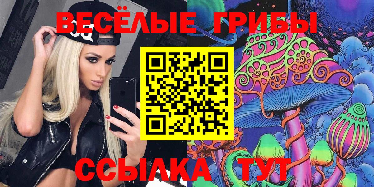 Саяногорск  Галлюциногенные грибы мицелий  купить наркотик  Псилоцибиновые грибы Psilocybe  Вход с VPN 